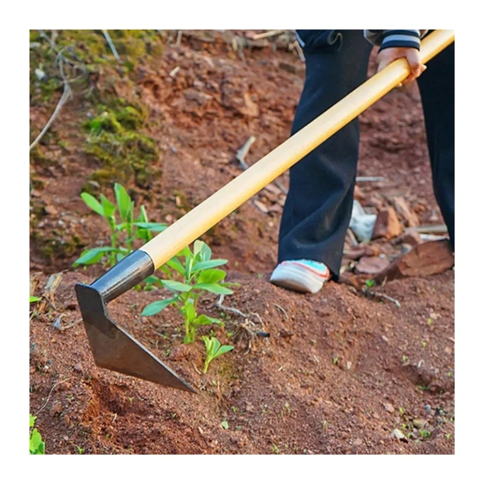 Gartenhacke, geschmiedetes Handwerkzeug for die Gartenbodenbearbeitung