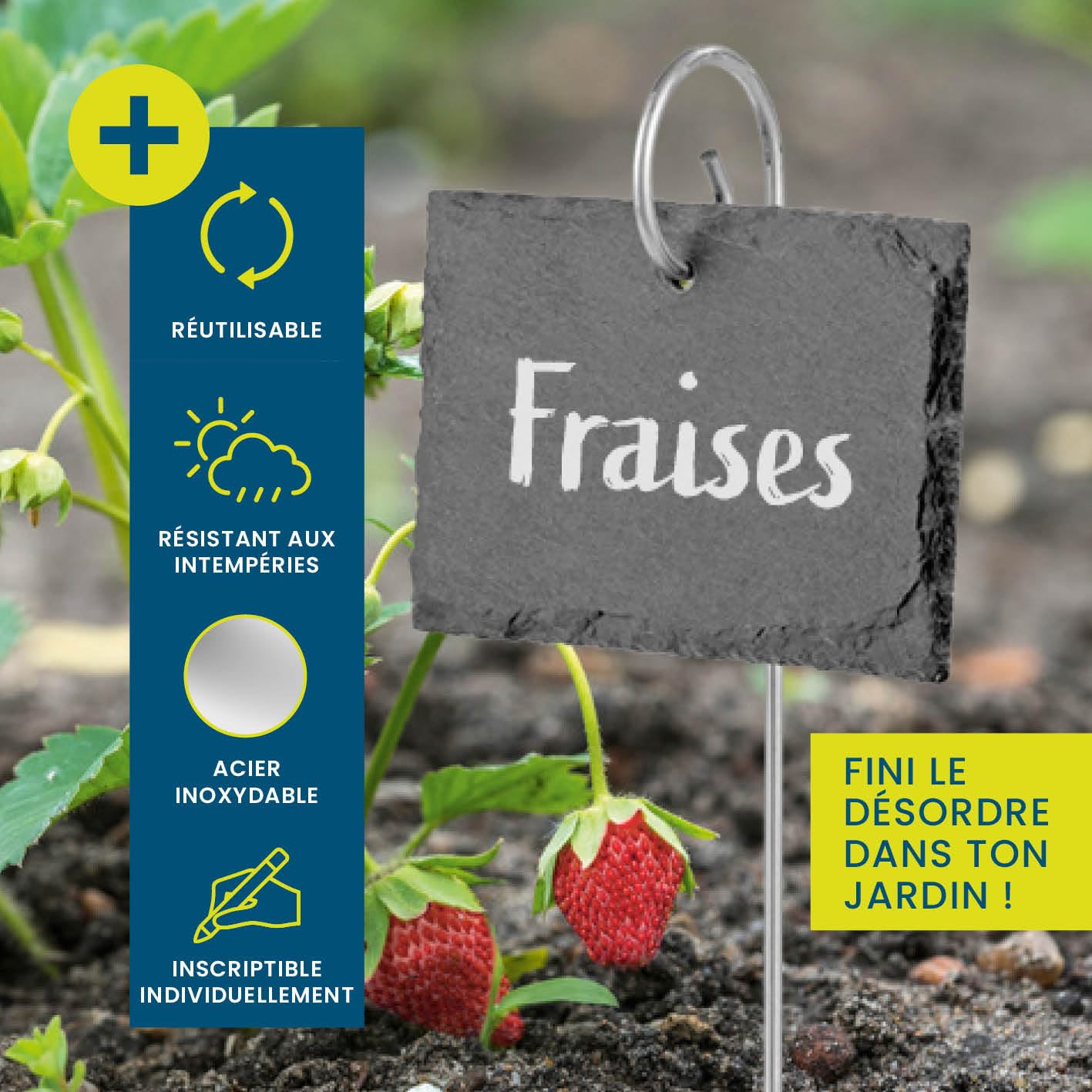 Hoberg Étiquettes Plantes en ardoise - Set de 10 | Résistant aux intempéries, réutilisable | Inscription individuelle de plantes & herbes | Avec piquets de terre en acier | 10 x 7 x 0,5 cm [Carrés]