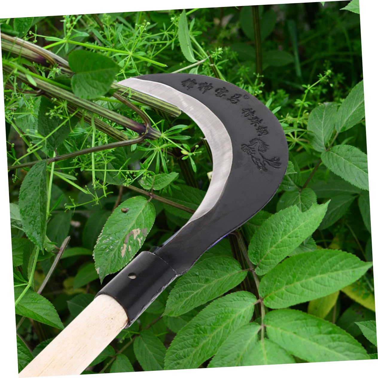 Mipcase Mano d'Acciaio al Manganese Coltello da da Giardinaggio