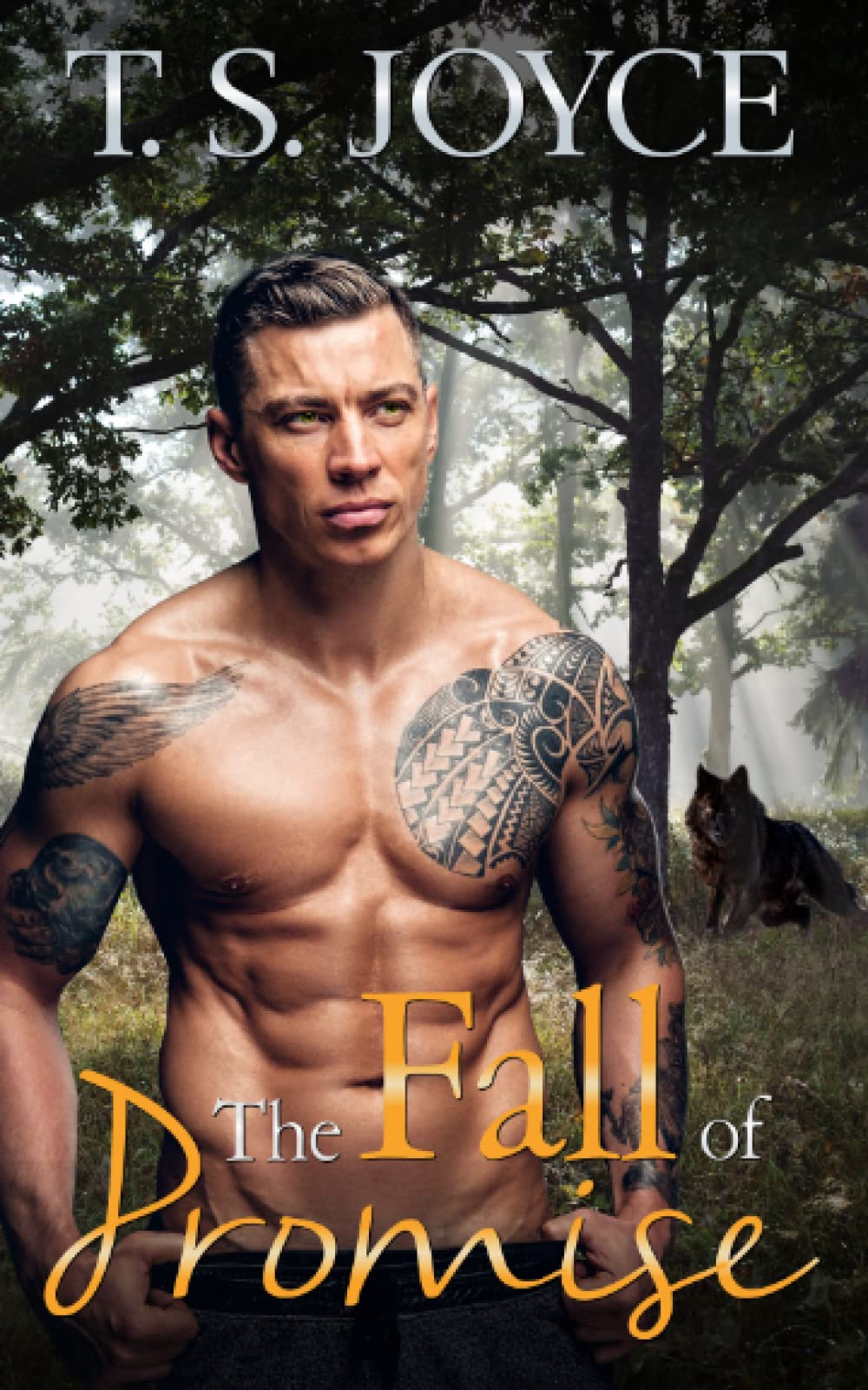 The Fall of Promise: 1 (The Wolves of Promise Falls)