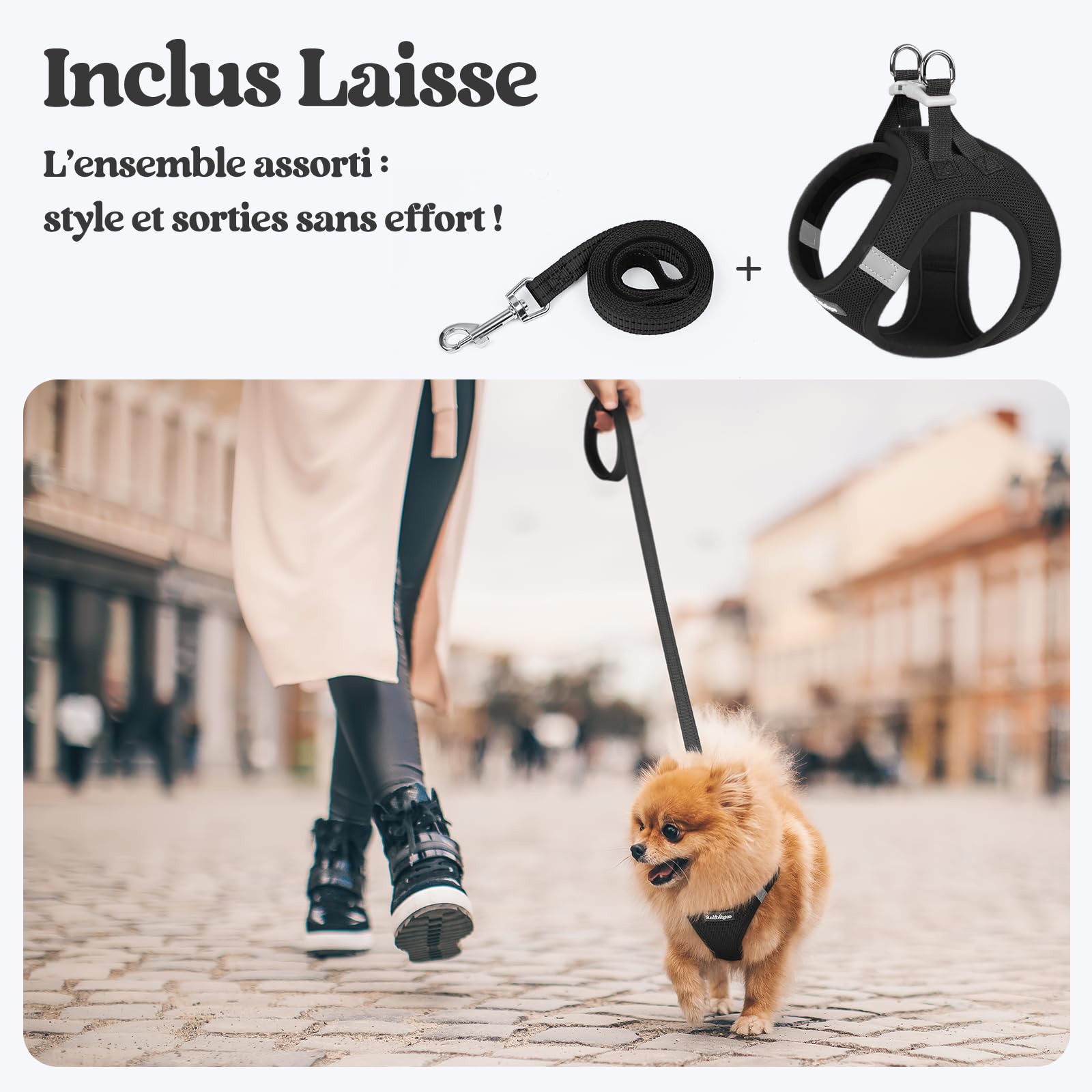 rabbitgoo Harnais Chien Petite Taille avec Laisse Réfléchissant, Harnais Chiot en Maille Souple, Gilet Réglable Facile à Mettre, Arnet pour Chien Petit et Moyen pour Marcher Courir, Noir S