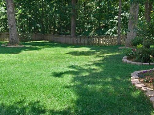 Miniatura 2 de Hancock Seed Co. Titan RX Turf Type Tall Fescue Grass Seeds, 10 libras.