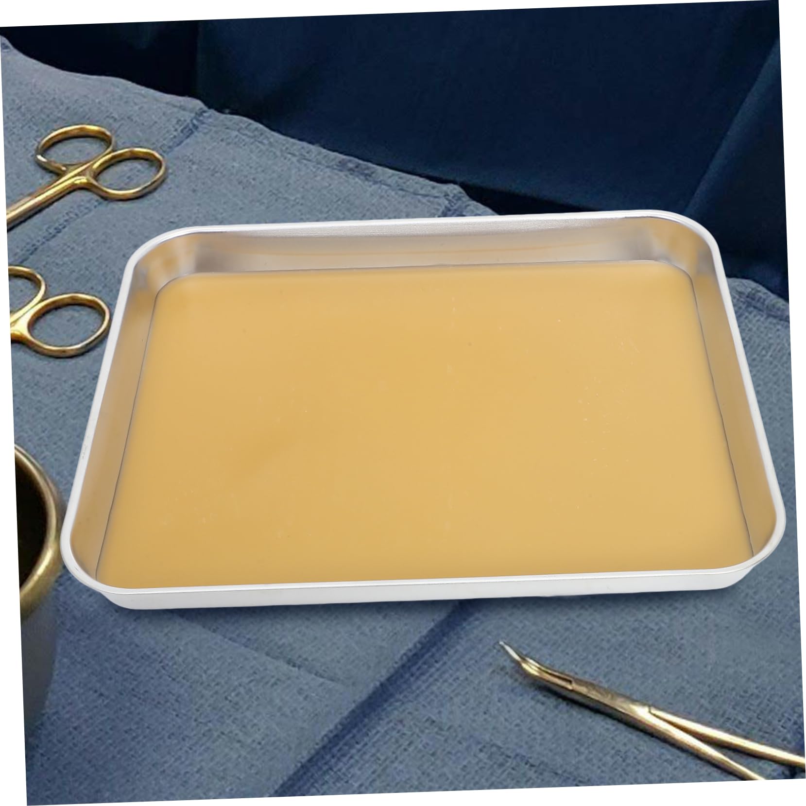 TOPBATHY Vassoio Per Dissezione in Inossidabile Con Cera Per Laboratori Biologia Vassoio Per Dissezione in Metallo Con Base in Cera Design Spazioso Per Esame Campioni Grandi o Multipli