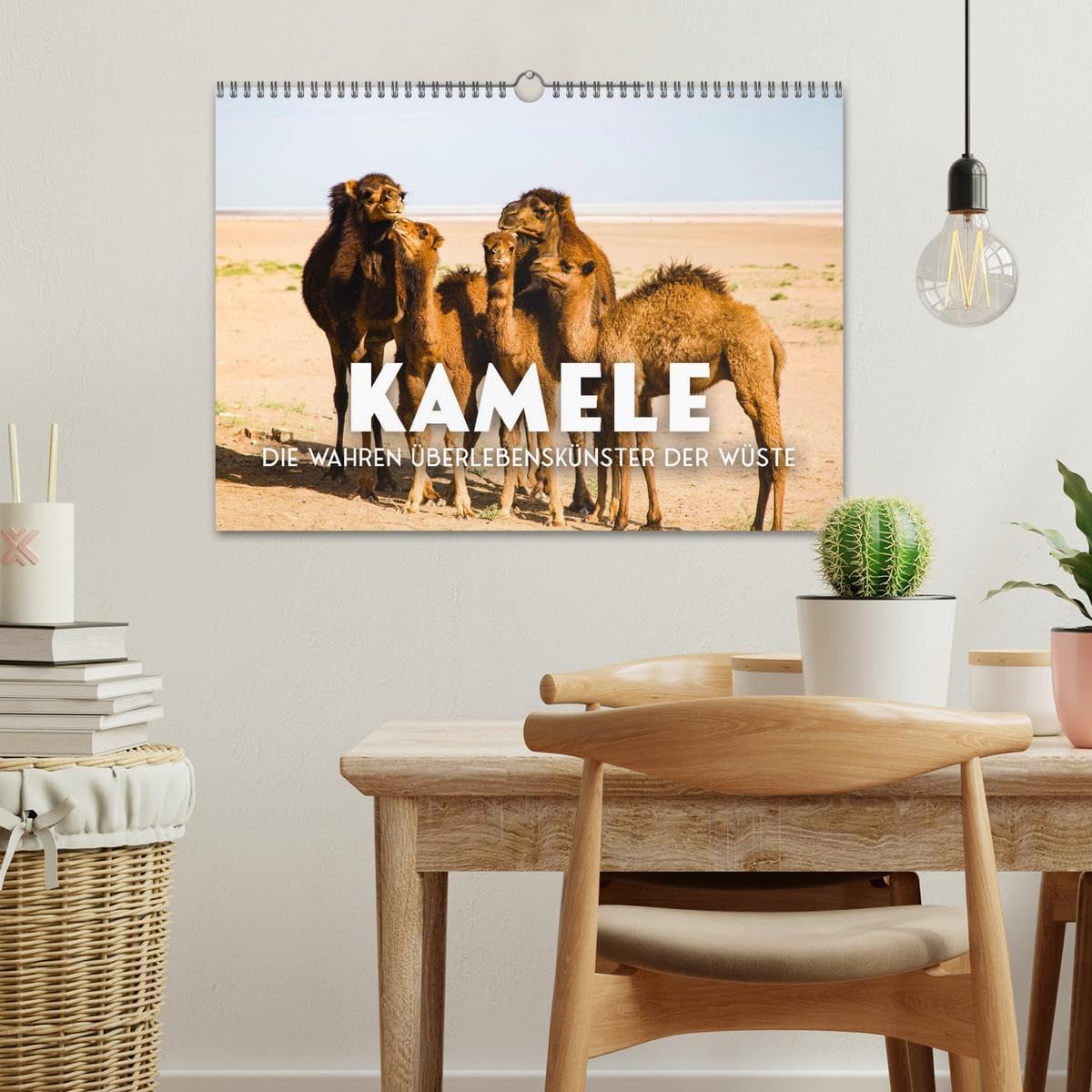 Kamele - die wahren Überlebenskünstler der Wüste. (Wandkalender 2026 DIN A3 quer), CALVENDO Monatskalender: Die geheimnissvollen Tiere der Wüste. (CALVENDO Orte)