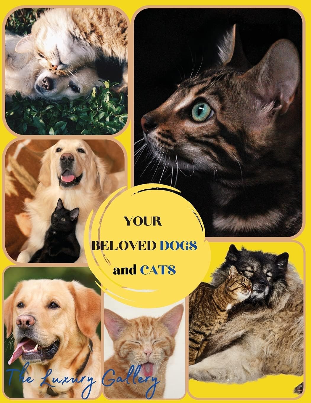 Your Beloved Dogs and Cats: The Best Selection of 50 Dog and Cat Photos by Manhattan's Top Photographers