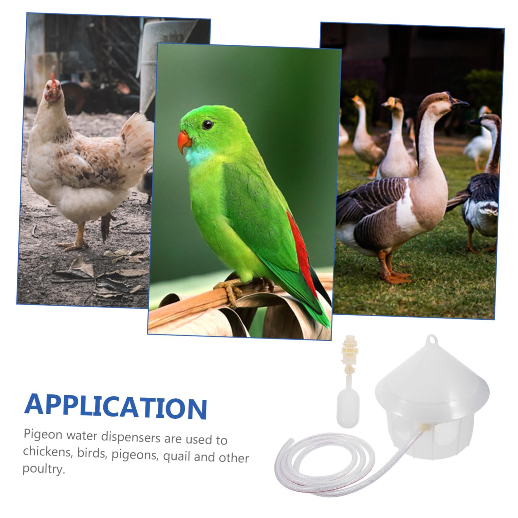 SOIMISS Distributore Automatico di Acqua per Piccioni in Plastica, Abbeveratoio senza Alimentazione Elettrica, Adatto per Gabbie di Uccelli e Volatili da Cortile