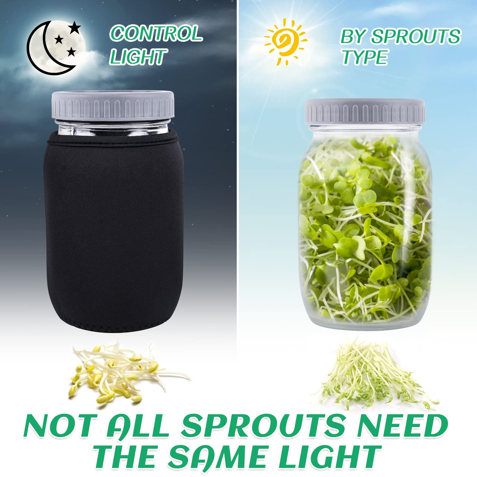 Seed Sprouting Jar Kit with 2 Wide Mouth Mason Jars Bean Sprouts Growing Kit Microgreens Growing Jar with Mesh Screen Lids Sprouter Sprouts Maker for Growing Broccoli, Alfalfa, Mung Bean