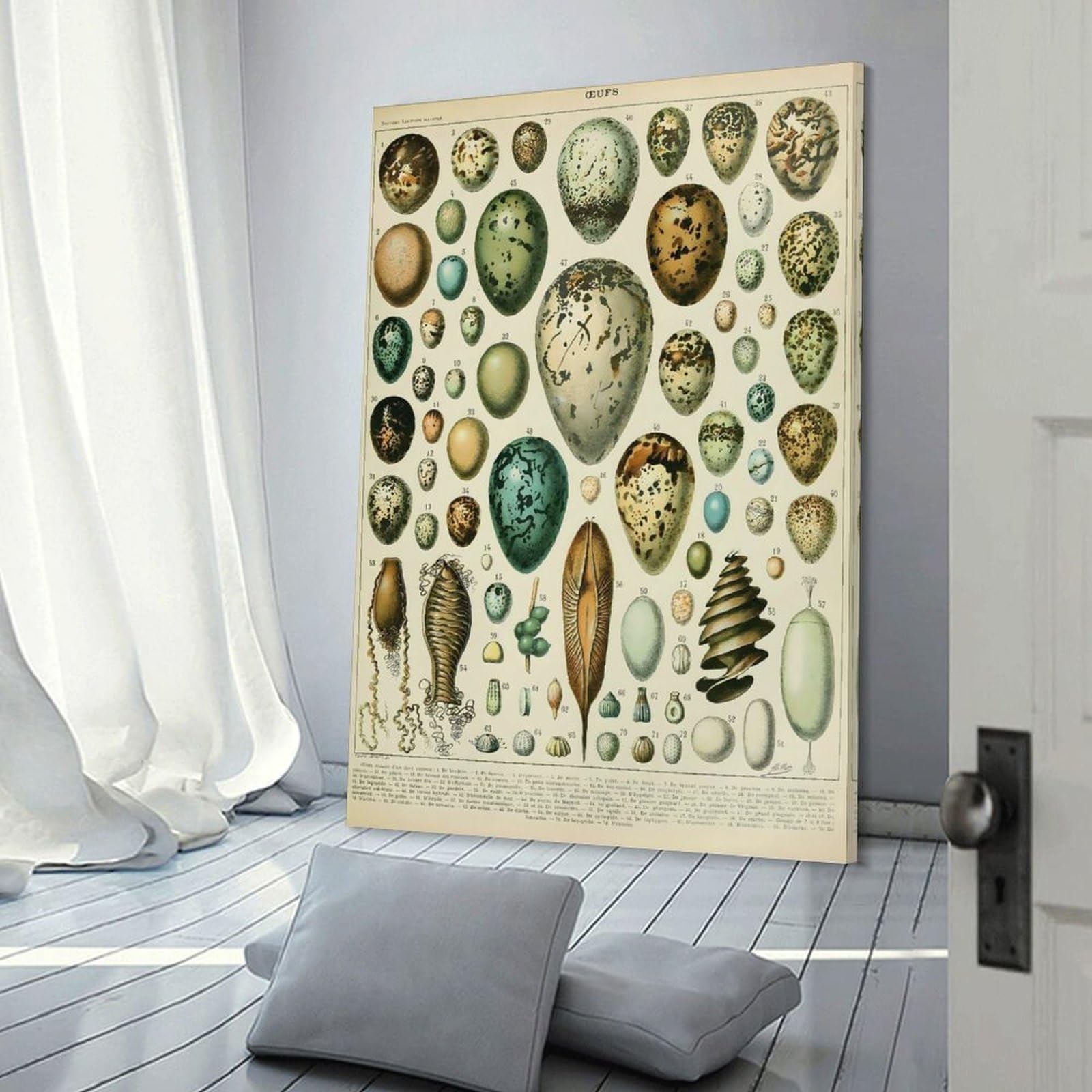 Junmoney EGGS Oeufs A Home Decor Wall Art 24x36inch(60x90cm), for Restful Interiors, Bedrooms Or Small Rooms, Decorative Wall Art for Cosy Rooms
