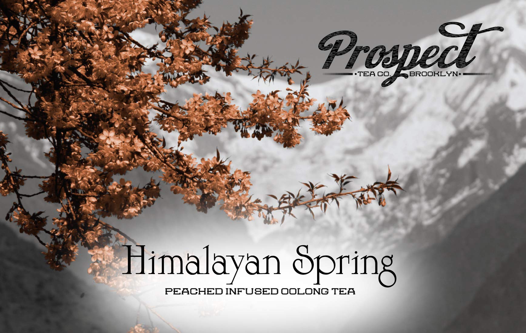 Prospect Tea - Cialde per tè Oolong con infusione di pesca dell'Himalaya, compatibili con produttori di birra K Cup, incluse 2,0, 40 pezzi