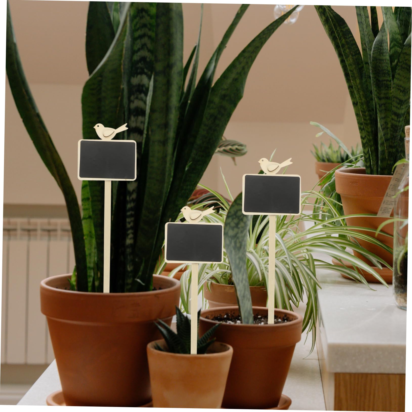 5 Ensembles Étiquettes Pour Plantes Ardoises Pour Décoration De Identification Plantes Accessoires De Jardinage Élégants 5 Pièces * 5