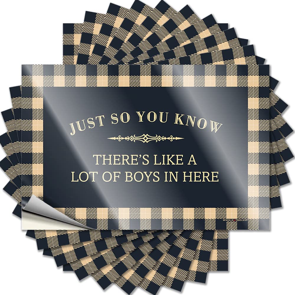 Encouraging Funny Sticker, Cool Decor Hat Just So You Know There's Like A Lot of Boys in Here | Funny Quote Things Decals(12X18CM)