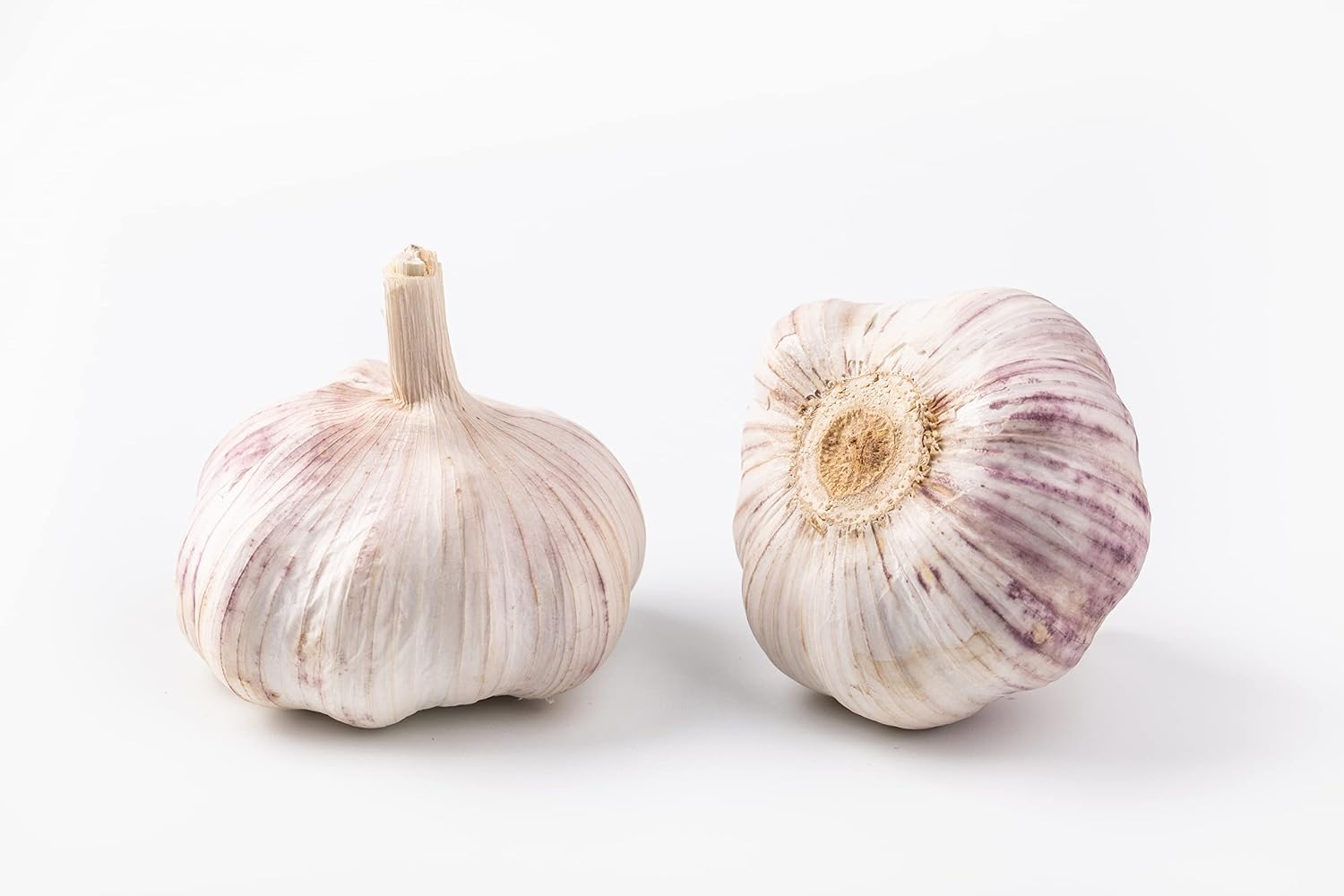Kejora Fresh Siberian Hardneck Garlic Bulb 5 Count