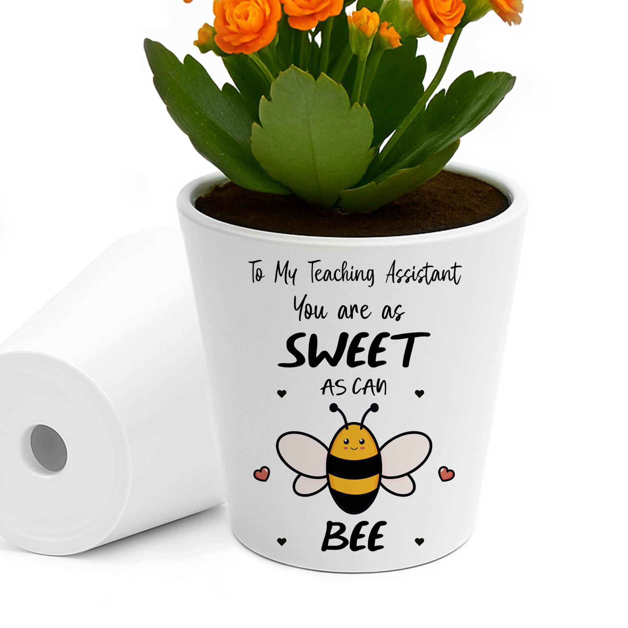 RED OCEAN To My Teaching Assistant Thank You Gifts For TA Plant Pot 10cm x 9cm Sweet As Can Be Leaving Gift Appreciation Gifts for Teaching Assistant From Students Kids