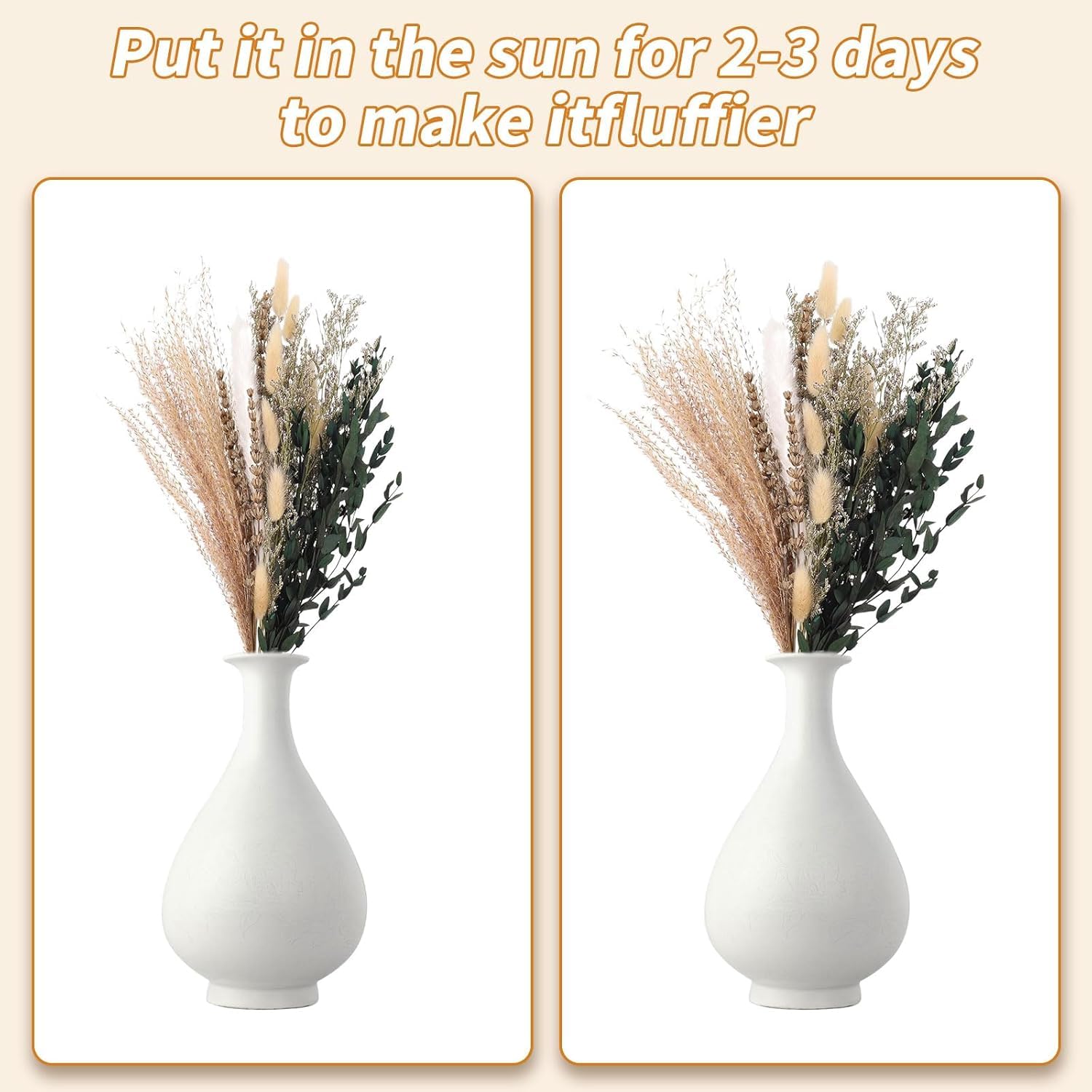 Lot de 10 Grandes Herbes de la Pampa Naturelles et moelleuses - Fleurs séchées - Décoration bohème d'automne