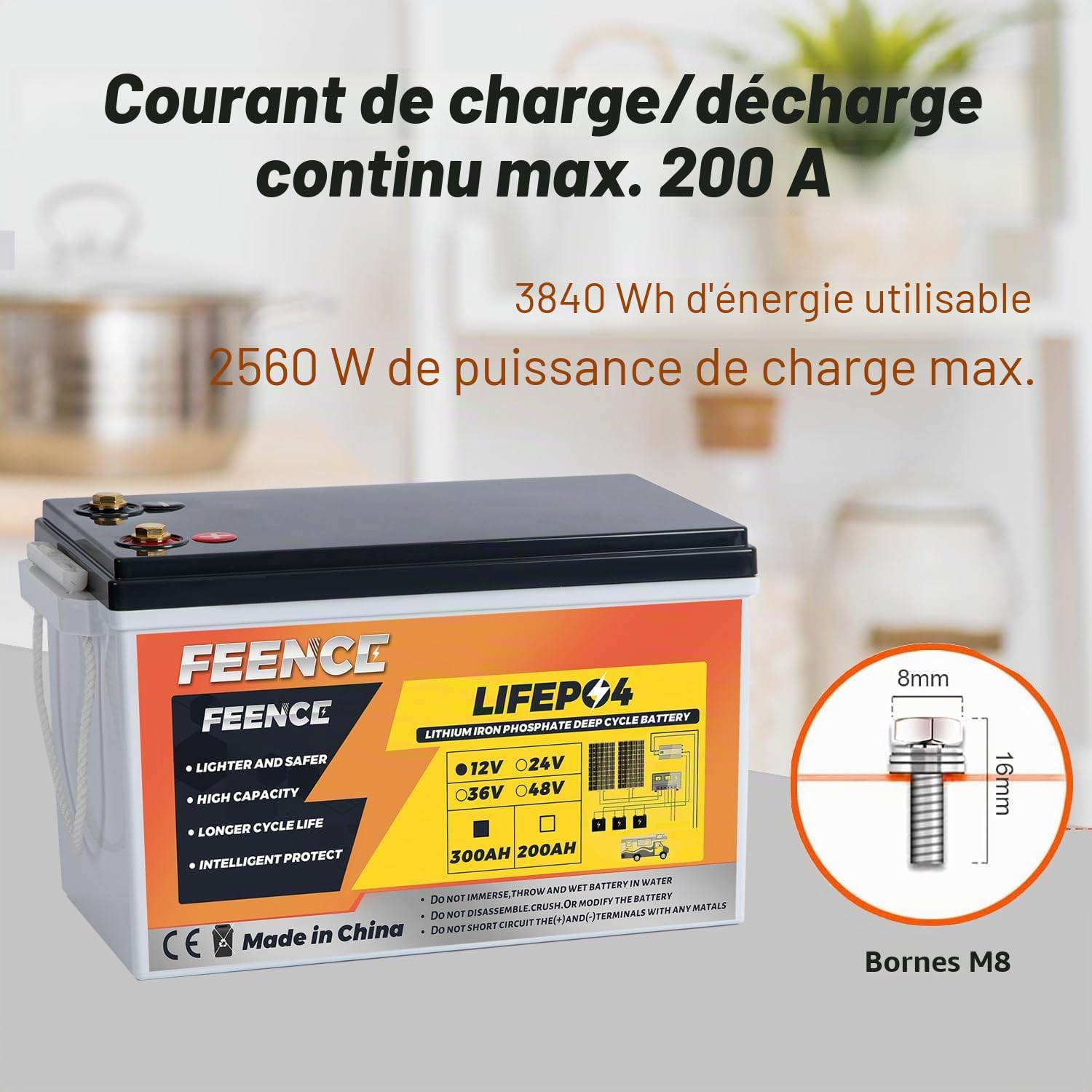 LiFePO4 Batterie au lithium 300 Ah 12 V 3840 Wh avec BMS 200 A max. 15 000 cycles, remplacement parfait pour le plomb-acide pour camping-car, système solaire, bateau, kit de panneau solaire,