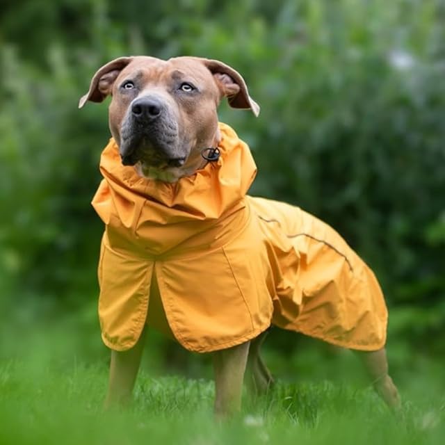 Foto 6 de 6 de Spark Paws Impermeable para perro, impermeable, resistente al viento, para perros pequeños, medianos, grandes