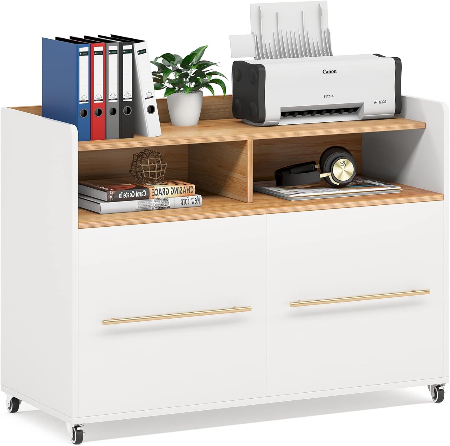 Buy Tribesigns 2 Drawer File Rolling Filing for Home