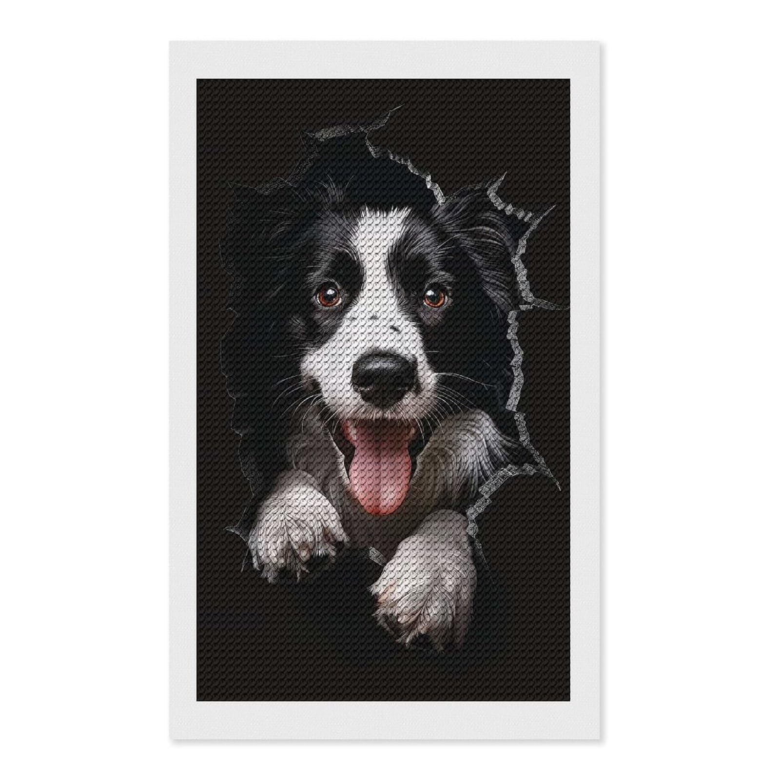 Junmoney Border Collie Dog Round Drill Diamond Painting 12"x20", for Women, Relaxing DIY Hobby, Bedroom Decor, Christmas Gift, Adhesive Canvas