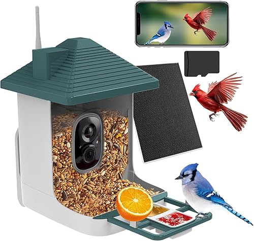 Miniatura 9 de Comedero inteligente para pájaros con cámara, identificación de especies con inteligencia artificial, casa de pájaros con energía solar, alertas de