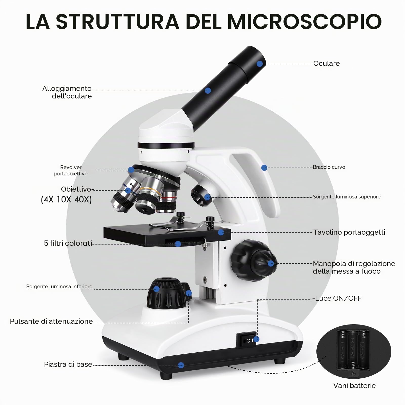 Microscopio professionale per adulti con adattatore per telefono, set di vetrini per microscopio per laboratorio scolastico, casa, ricerca scientifica biologica