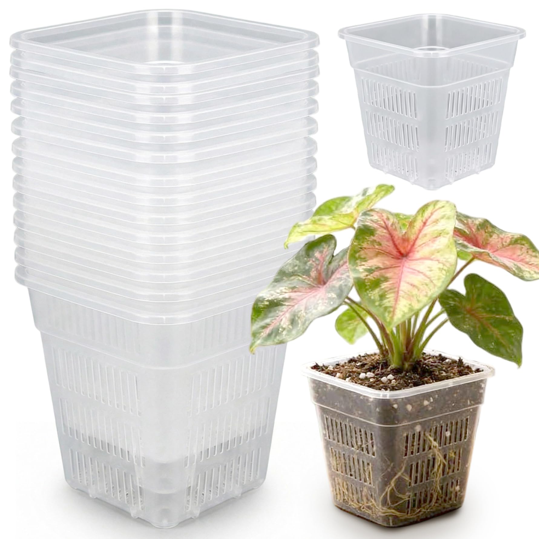 Pots d'orchidées transparents carrés en plastique avec trous d'aération x15