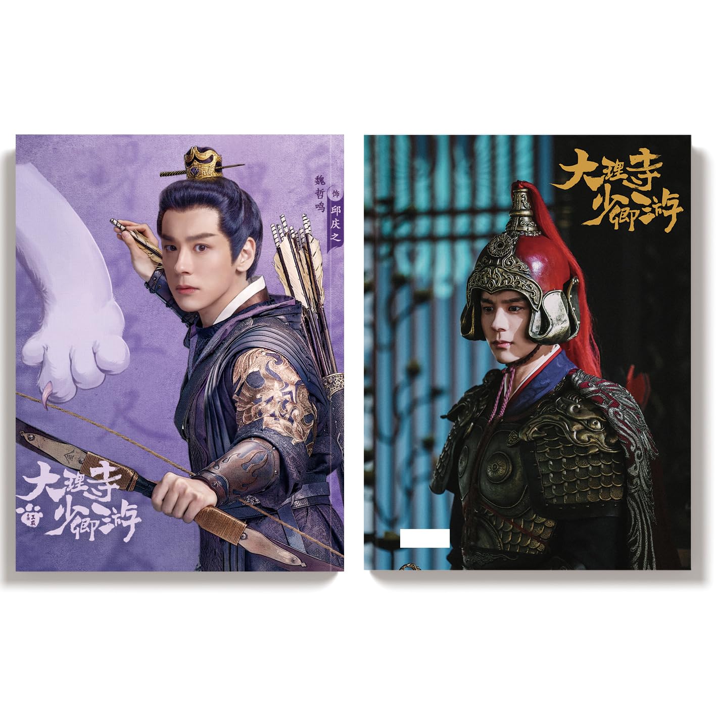 Amazon.co.jp: 月見竹取 大理寺少卿游 丁禹兮 ディンユーシー 周