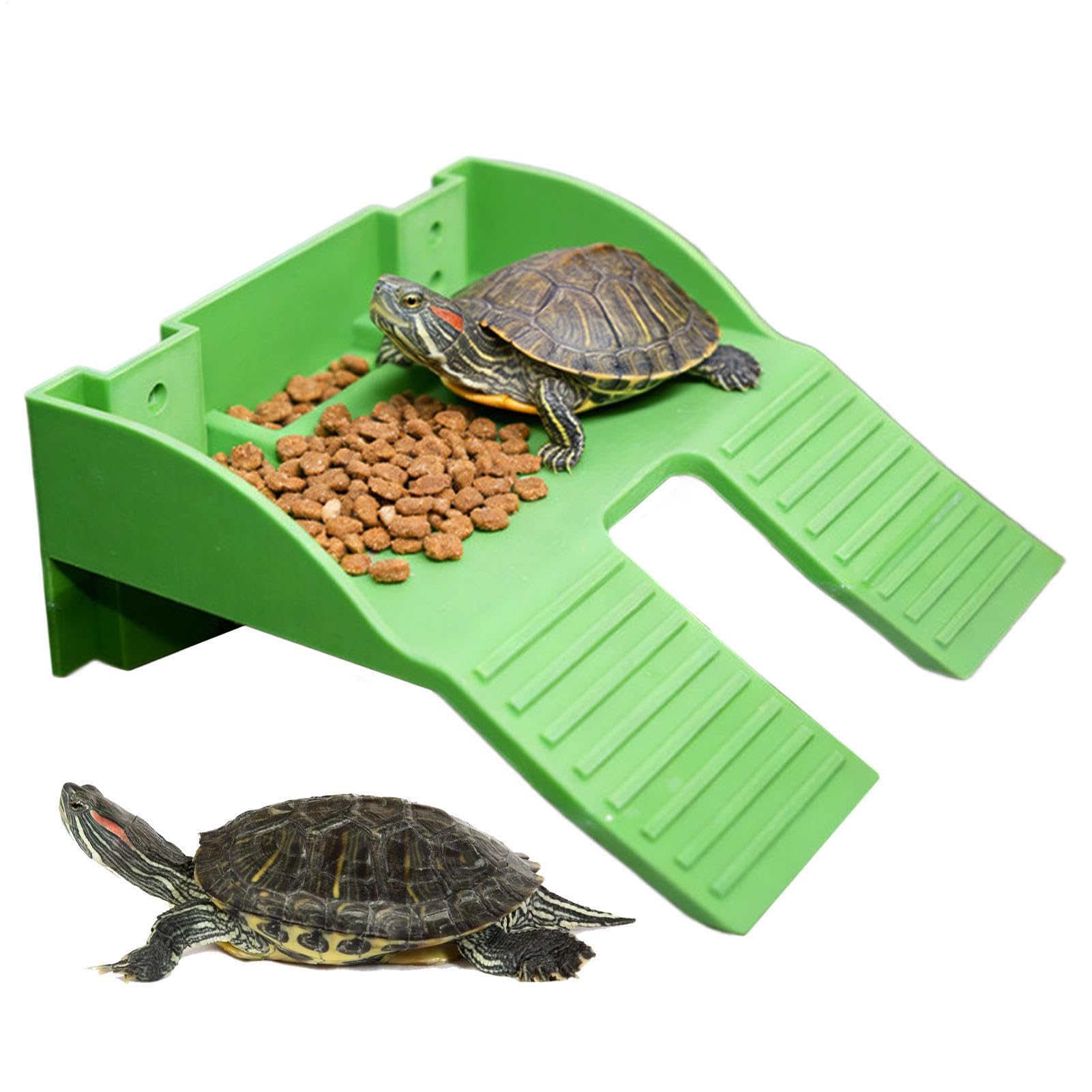Grande rampe antidérapante pour tortue avec plateforme de repos et grand bassin complet