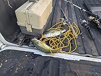 Review Image by Robert James Robert James