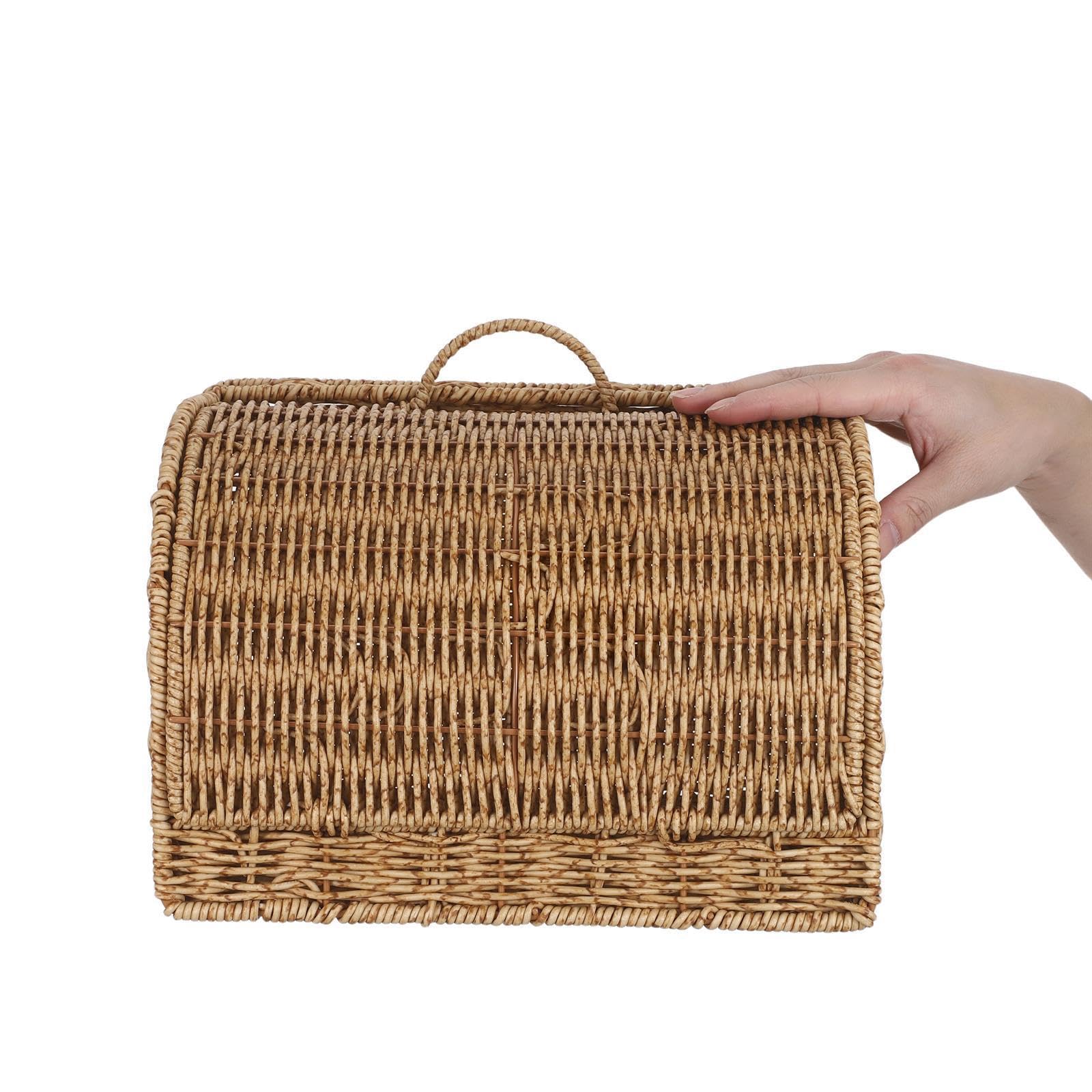 KALLORY Cestino Cucina in Finta Rattan con Coperchio 33, 5x23x19 Cm | Plastica Resistente, per Dispensa e Piano Lavoro, Adatto a Dolci e Snack, Uso Multiuso Ordinato