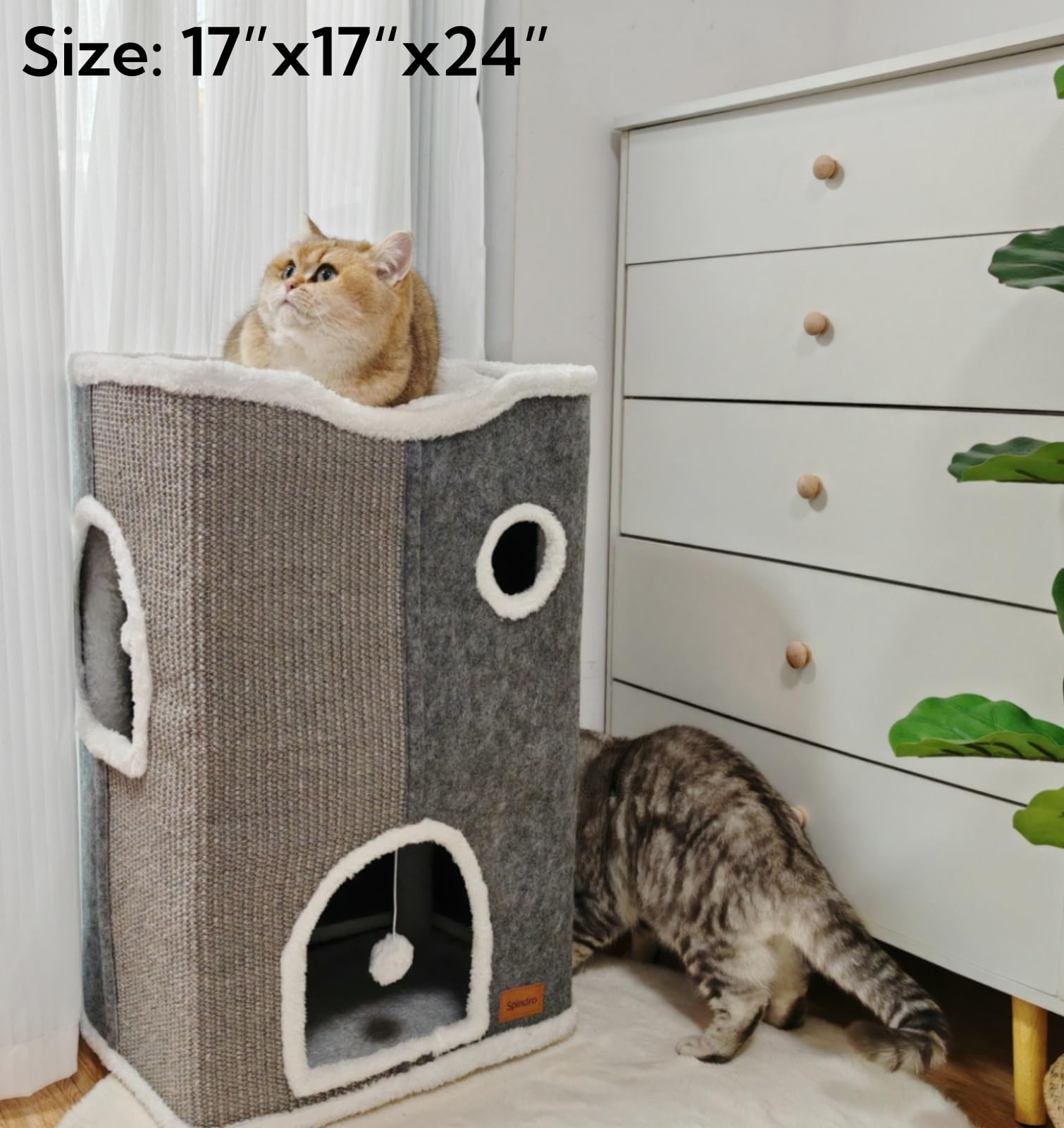 Spindro Groot kattenbed voor binnenkatten, opvouwbare volwassen Spindro Groot kattenbed voor binnenkatten, opvouwbare volwassen