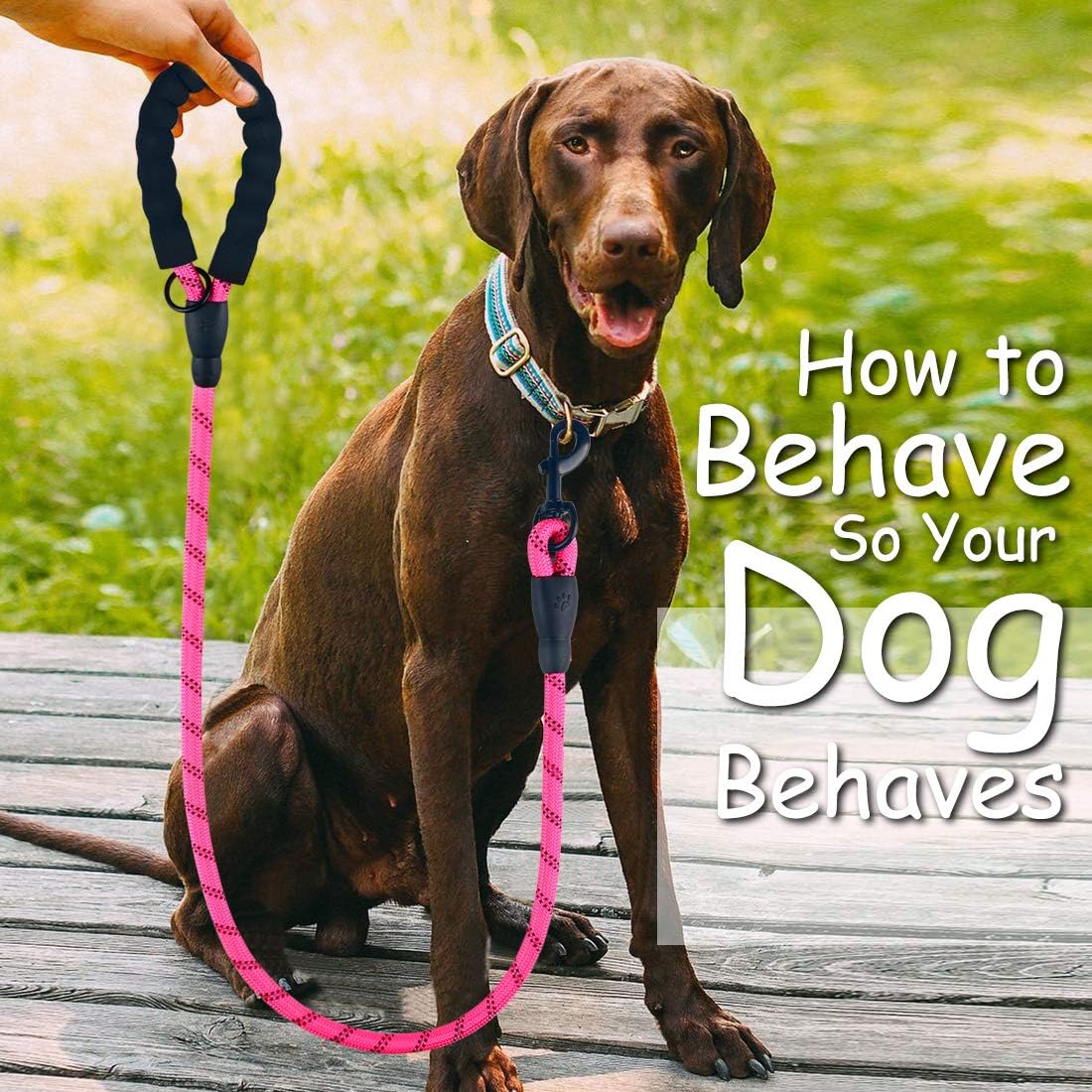 DOYOO 2 Pack Dog Leash 6 FT Thick Durable Nylon Rope - Comfortable Padded Handle Reflective Rope Dog Leash for Medium Large Dogs with Collapsible Pet Bowl and Garbage Bags (6FT-Black + Pink)