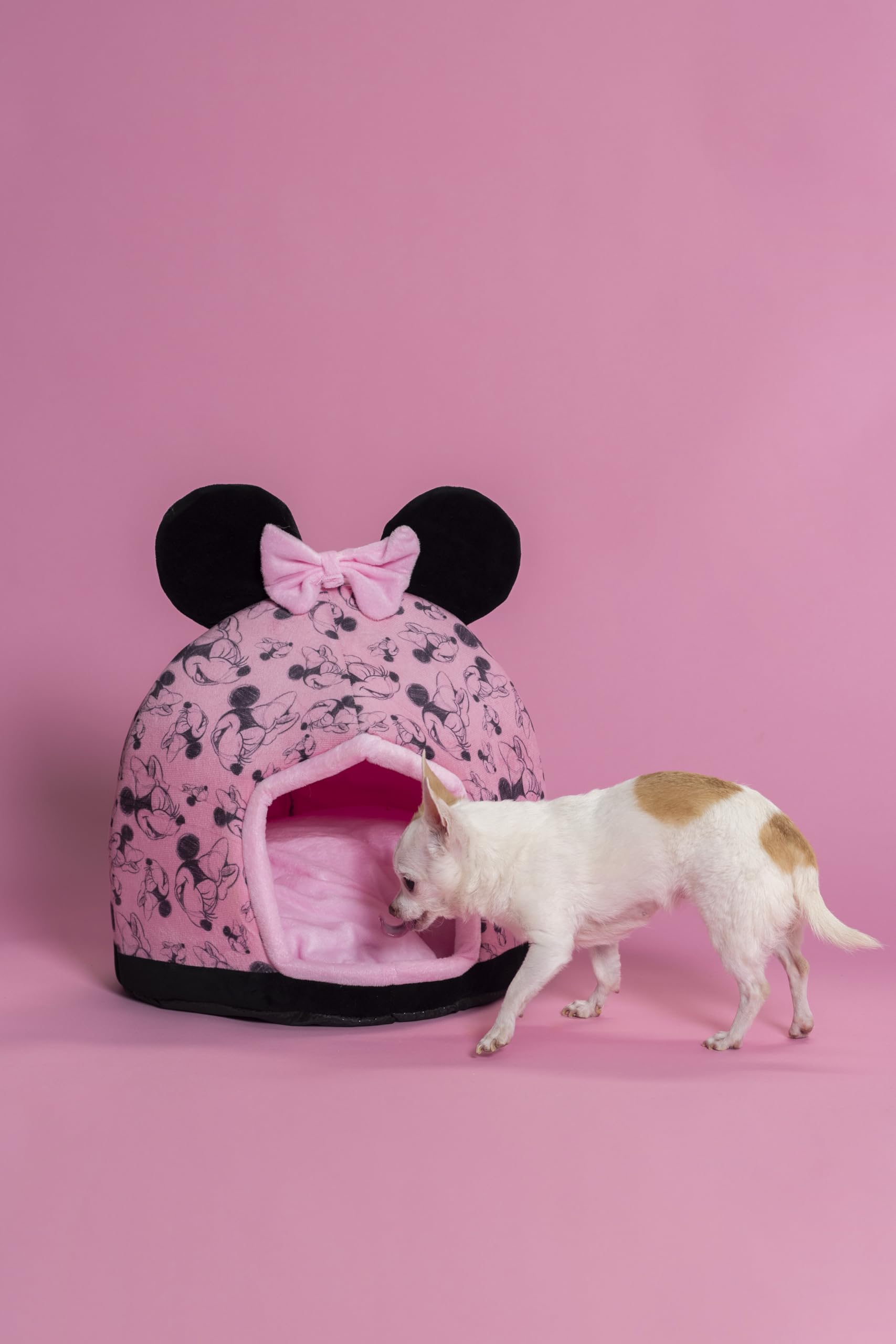 CERDÁ LIFE'S LITTLE MOMENTS Cave Letto per Cane Minnie, Spazio Accogliente e Sicuro per Animali Piccoli e Medie