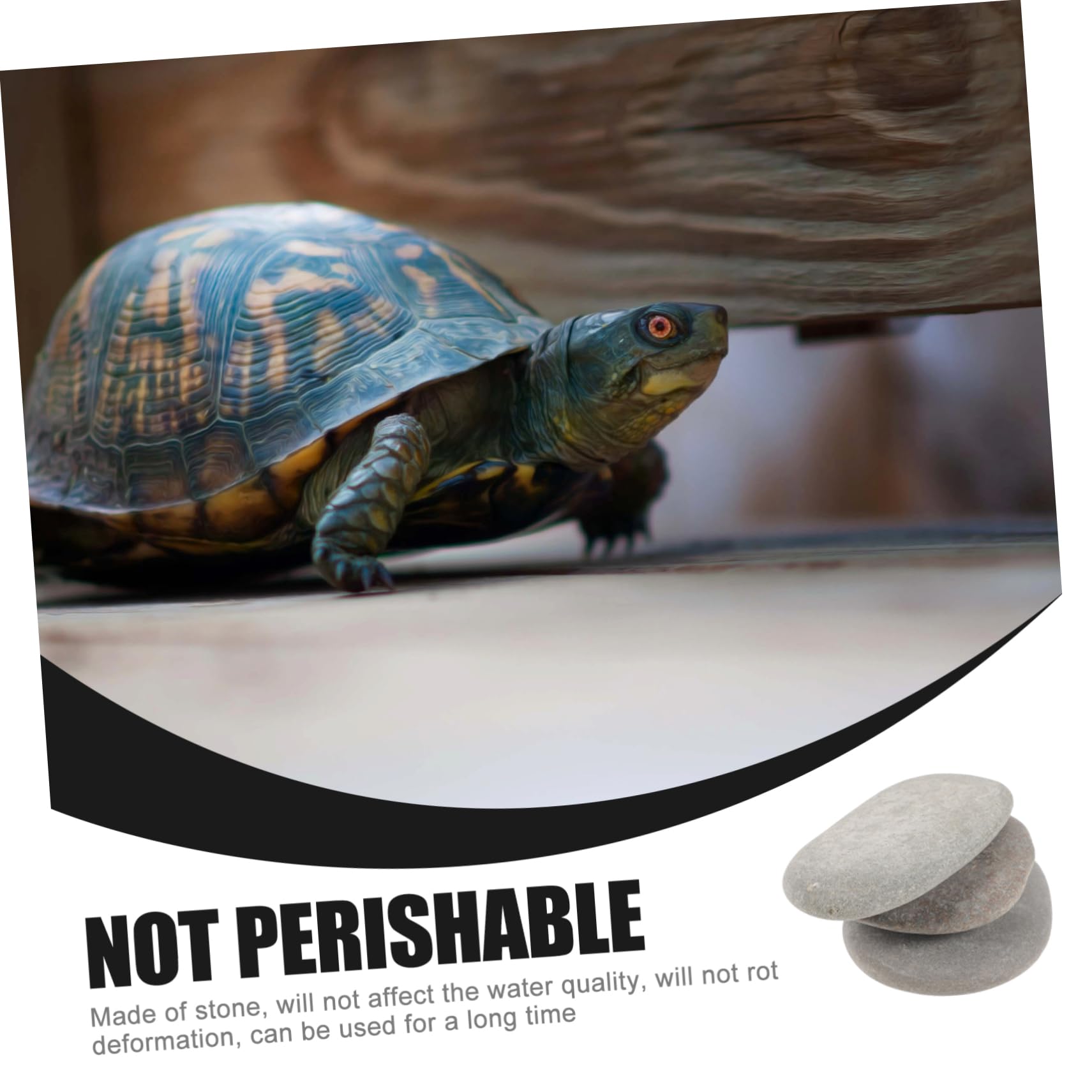 Sichere Terrariensteine für Reptilienhabitate und Aquarium Dekoration Sonnensteine 3 Stück mit Flacher Oberfläche aus Natürlichem Stein Zufällige Farbe für Schildkröten