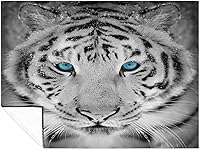 Vista 8 de Wild White Tiger Flannel Fleece Throw Blanket Soft Warm Lightweight Fuzzy Plush Blankets for Bed Couch Sofa 60"x80