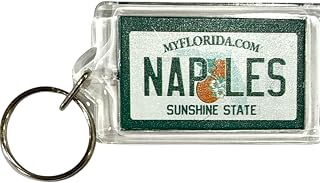 World By Shotglass Naples Florida License Plate Acrylic Rectangular Souvenir Keychain 2.5" X 1.5"