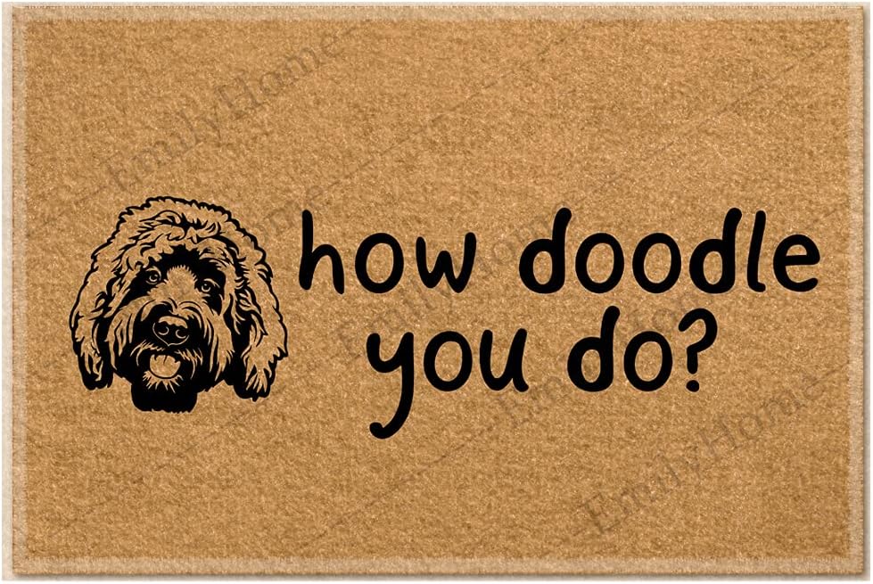 Funny Door Mat Welcome Mat How Doodle You do 01 Funny Doormat Indoor Rug 23.6"(W) X 15.7"(L)