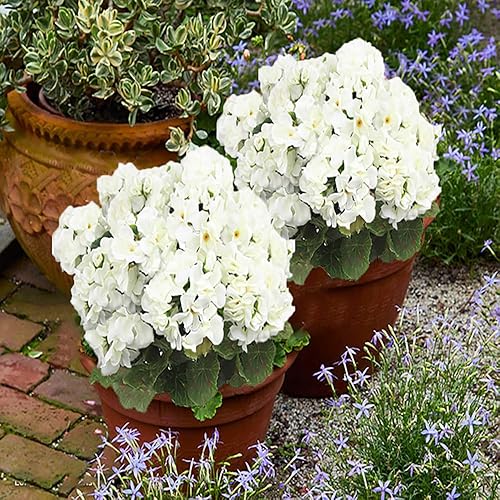 Miniatura 7 de FERIAL 4 flores artificiales de seda de geranio rojo para exteriores, arbusto, flores sintéticas, geranios para decoración floral del hogar,