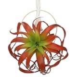 Artificial Fall Hanging Plant Fake Air Plants 11 Inch Burgundy Real Touch Lifelike Faux Succulents Plants for Home Garden Office Indoor Outdoor Decor Red