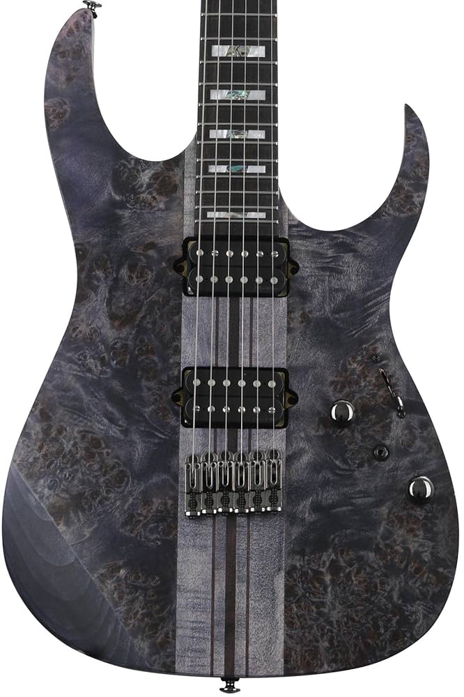 Ibanez エレキギター RGT1221PB Ibanez アイバニーズ RGT1221PB SWL エレキギター SPOT生産