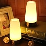 2pack Motion Sensor Table lamp Battery Operated Night Light for Bedroom Hallway
