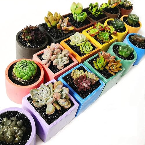 Miniatura 2 de appuivbt 3 moldes de silicona para maceta, para plantas suculentas, macetas de cemento, moldes de yeso, molde de arcilla para manualidades