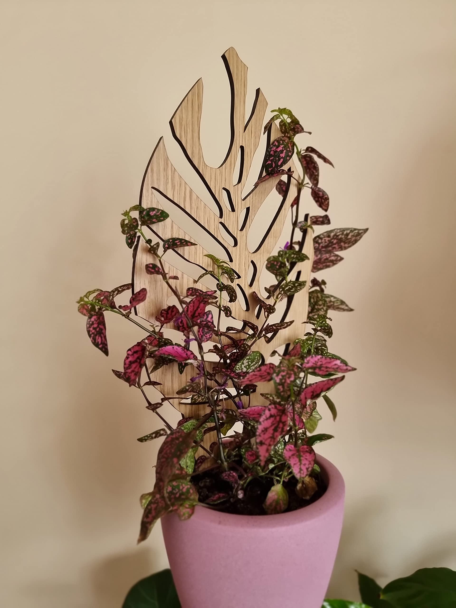 Woodream Monstera Pflanzenstütze aus Eichenholz 40 cm | Größe M | Natürliches Rankgitter - Blumengitter - Rankhilfe | Für Zimmerpflanzen | Innenraum Dekoration | Für Pflanzenliebhaber