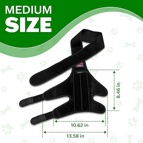 Miniatura 2 de Rodillera mediana para perro para desgarrarse en la pierna trasera, soporte ajustable para la pierna trasera del perro, soportes para piernas de