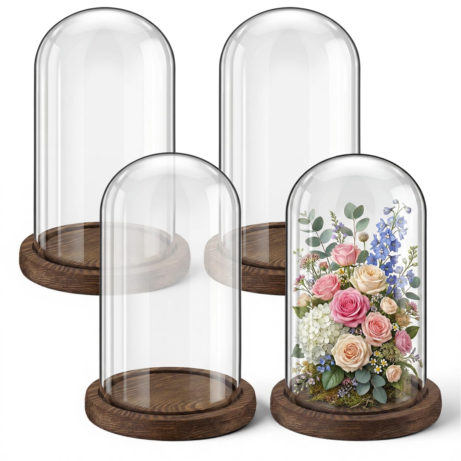 Cloche en verre dôme Suclain 10x18 cm avec socle bois marron café (lot de 4)