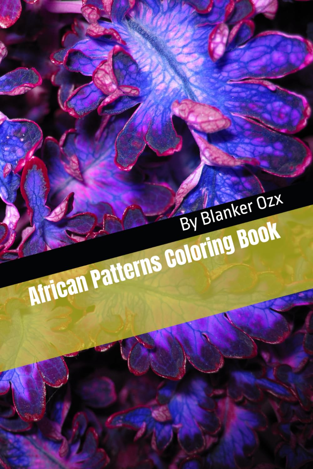 African Patterns Coloring Book