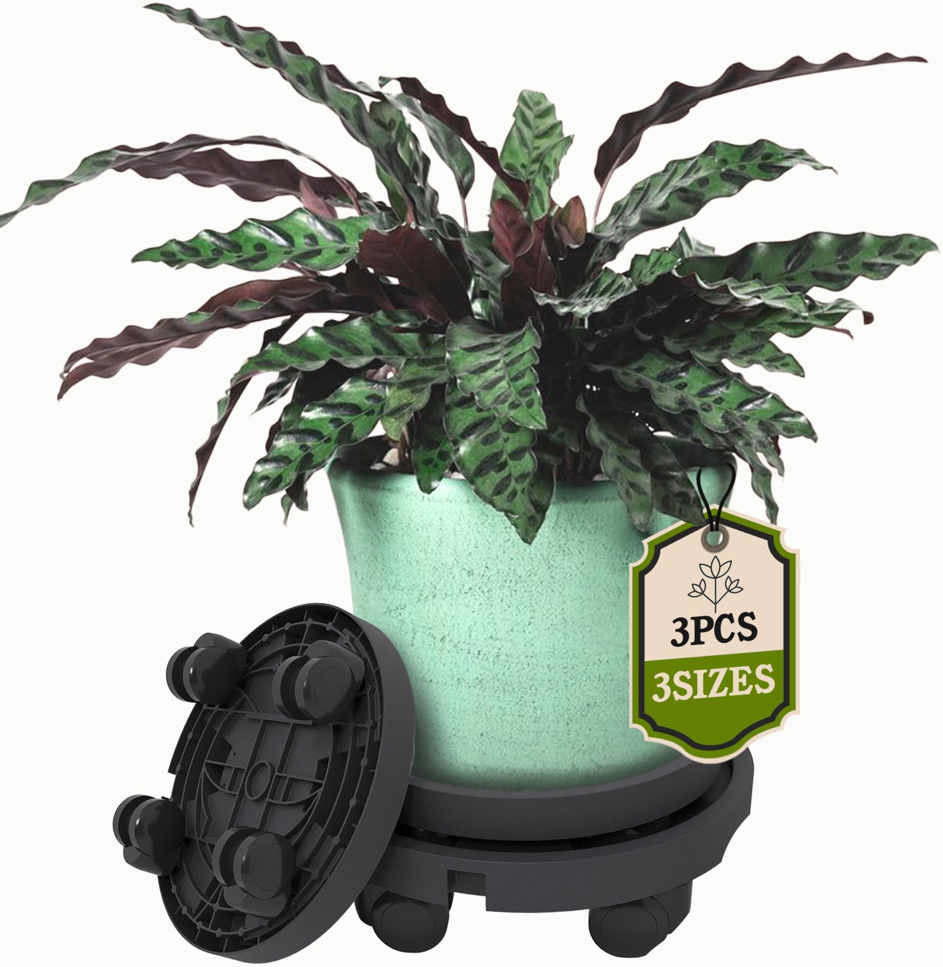 Plant Caddy With WheelsPlant Rollers With Wheels Rolling