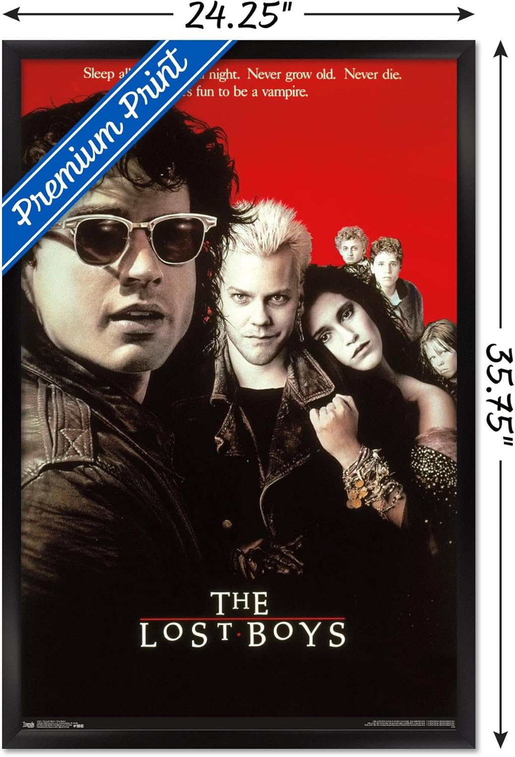 Trends International The Lost Boys - One Sheet Wall Poster, 22.375" x 34", Black Framed Version