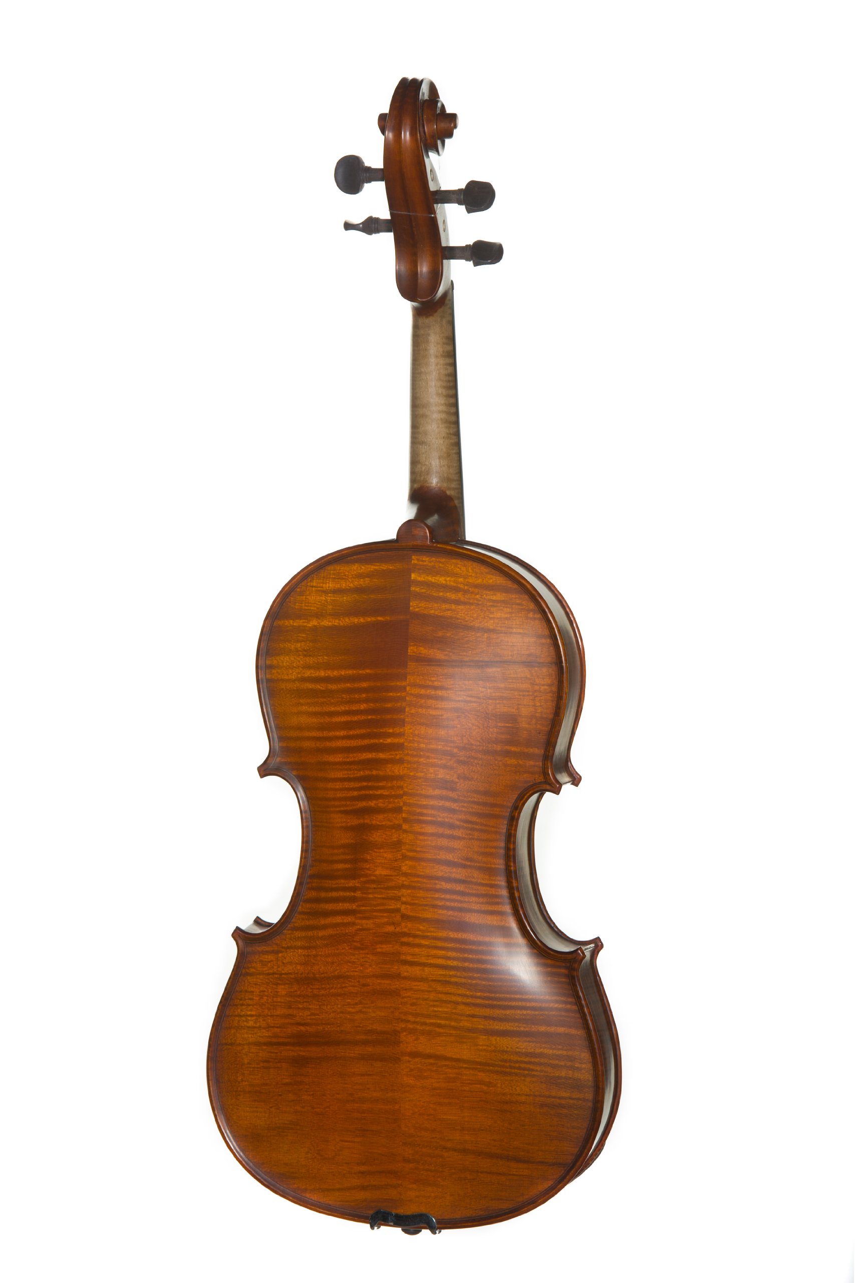 Meisel Viola - 16
