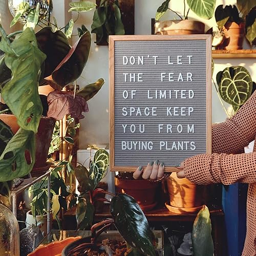 Miniatura 4 de Felt Like Sharing Letras de cartón solo (348 piezas, blanco de 1 pulgada), letras de plástico intercambiables para tableros de fieltro, juego de