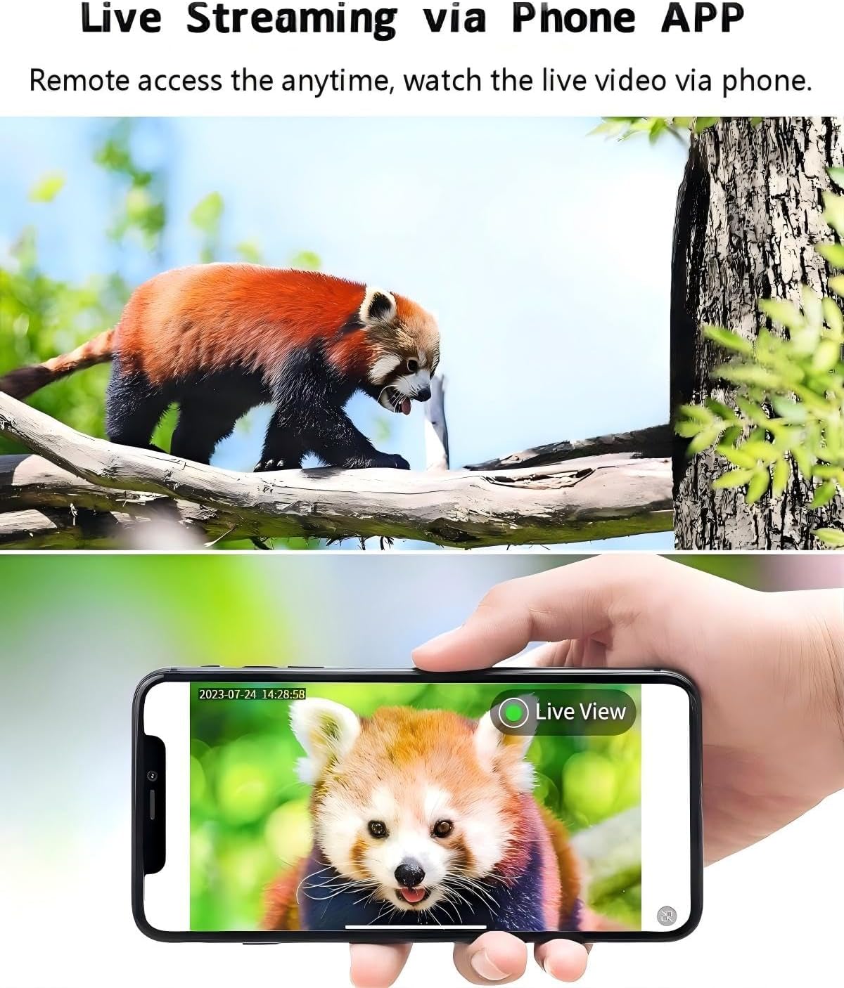 4G LTE Cellular Trail Camera, No WiFi Needed, Solar Powered, 2K Live Feed, Real-Time Alerts, Remote Access, Color Night Vision, Pre-Installed SIM Card Off-Grid Wireless Outdoor Security Camera